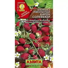 Семена земляника Барон Солемахер ремонт. Аэлита