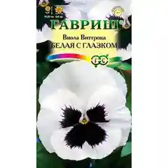Виола Виттрока Белая с глазком Гавриш
