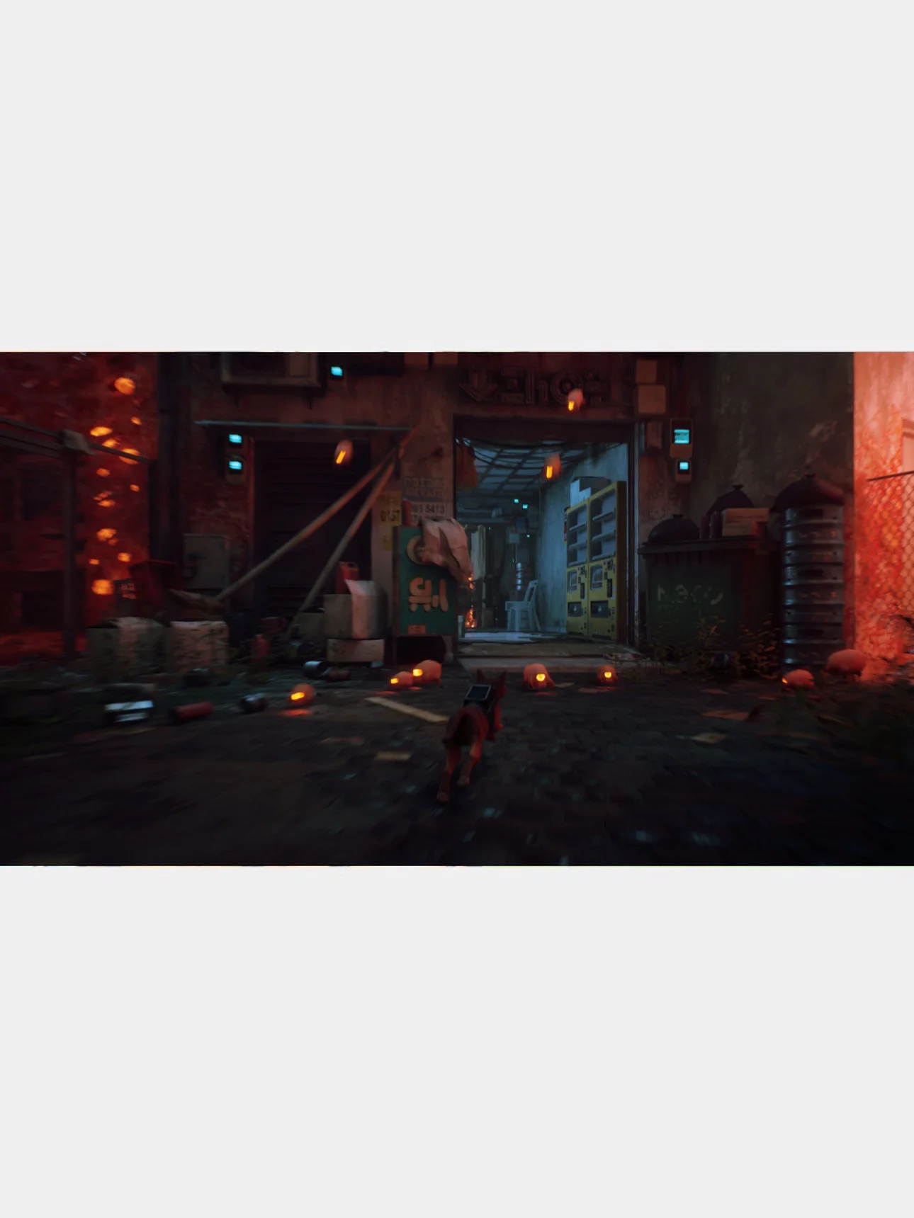 Игра Stray PS5, диск на PS5, игры на PS5, Русские субтитры