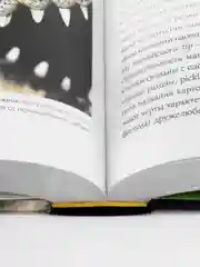 Необъятный мир