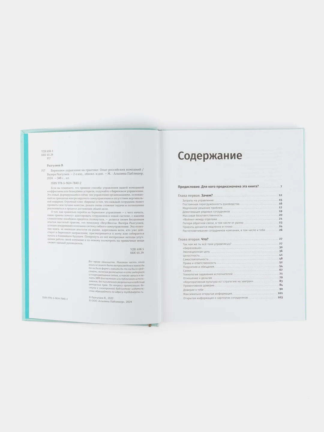 Бирюзовое управление на практике