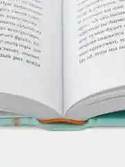 Бирюзовое управление на практике