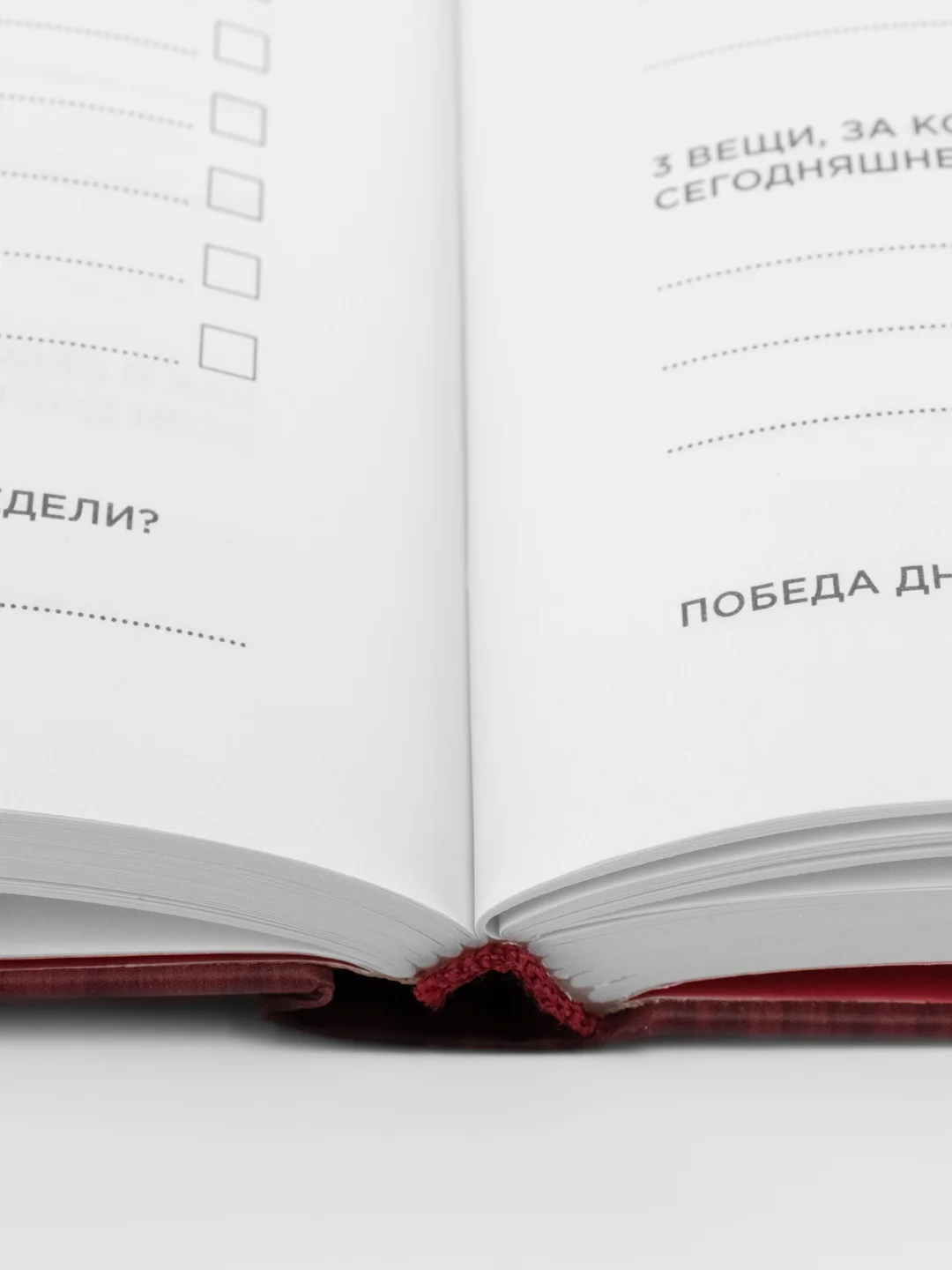 Дневник эффективности
