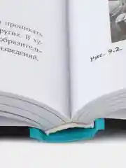 Спиральная динамика на практике