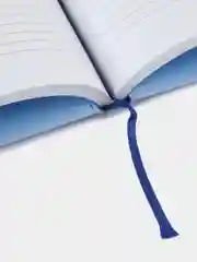Ежедневники Веденеевой. Gratitude Diary
