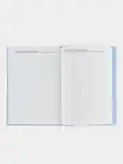 Ежедневники Веденеевой. Gratitude Diary