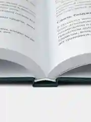 Как навести порядок в финансах компании