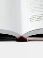 Чисто российское преступление: Самые громкие и загадочные уголовные дела XVIII XX веков
