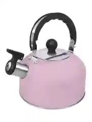 Серый металлик чайник со свистком HOME ELEMENT HE-WK1604B, розовый матовый