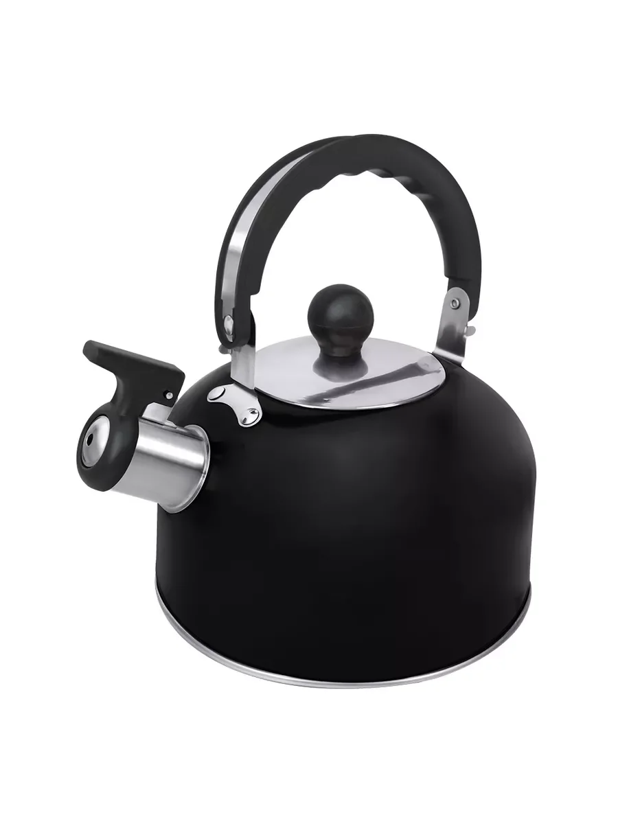 Серый металлик чайник со свистком HOME ELEMENT HE-WK1603B, черный матовый