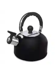 Серый металлик чайник со свистком HOME ELEMENT HE-WK1603B, черный матовый
