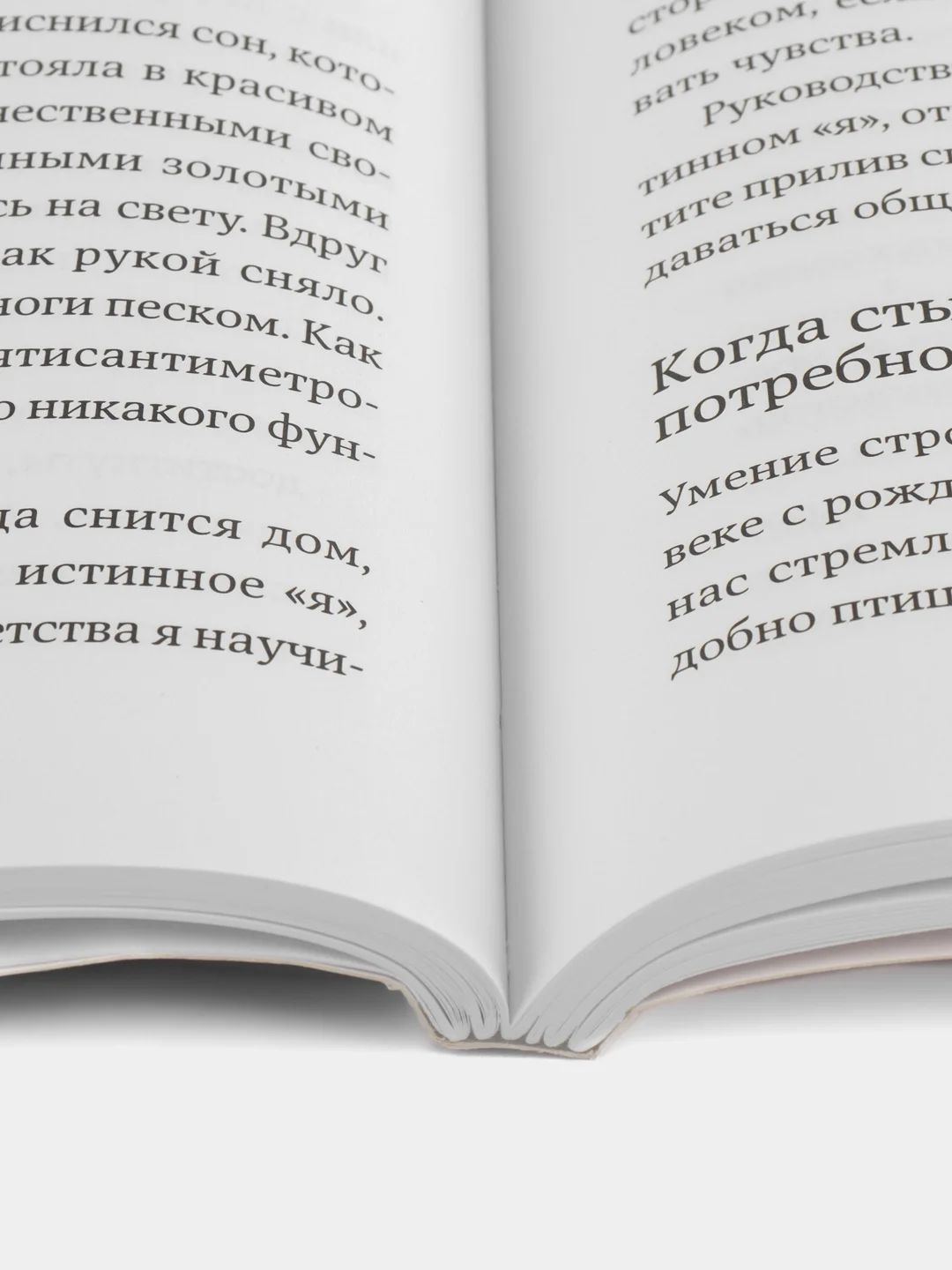 Чувство стыда