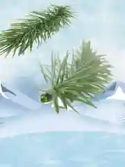 Ветки еловые 11 см, зеленые