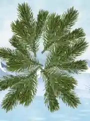 Ветки еловые 11 см, зеленые