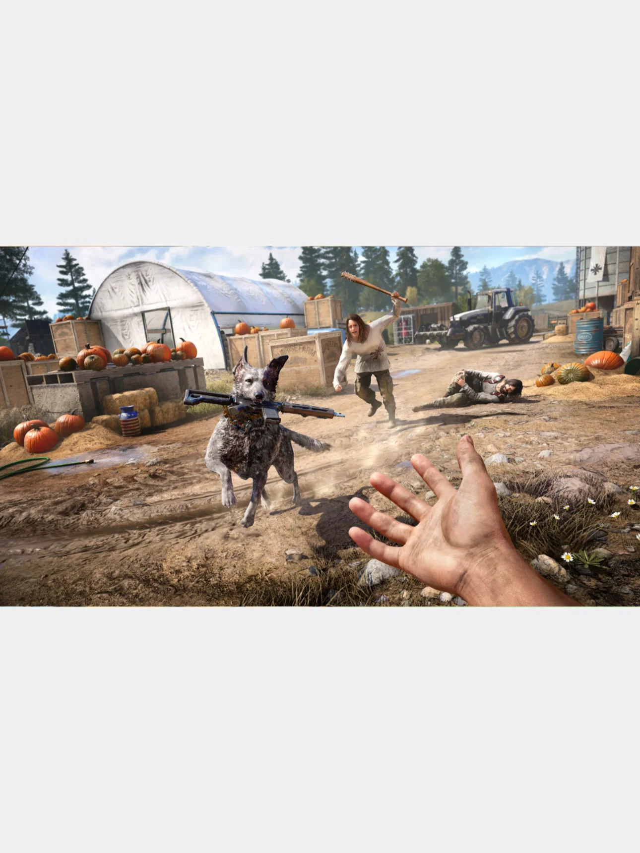 Игра Far Cry 5 PS4, диск на PS4, диск на PS5, игры на PS4, игры на PS5, Русская версия