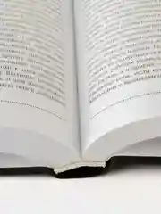 Воля и самоконтроль