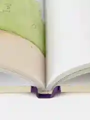 Большая книга приключений Конни. Эмоции