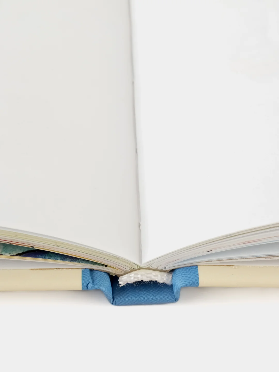 Большая книга приключений Конни. Хобби