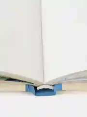 Большая книга приключений Конни. Хобби