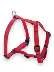 Шлейка Аркон Dog&Vogue NEO, нейлон, ширина 20 мм, шея 44-60 см, грудь 45-74 см