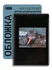 Хром обложка на паспорт с принтом