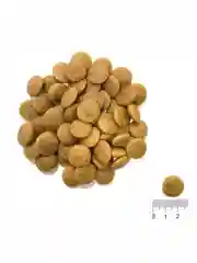 Корм для собак Grand Prix Large Adult, с курицей, 2,5 кг