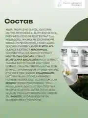 Ампульная успокаивающая восстанавливающая сыворотка Positive and negative Zero degree