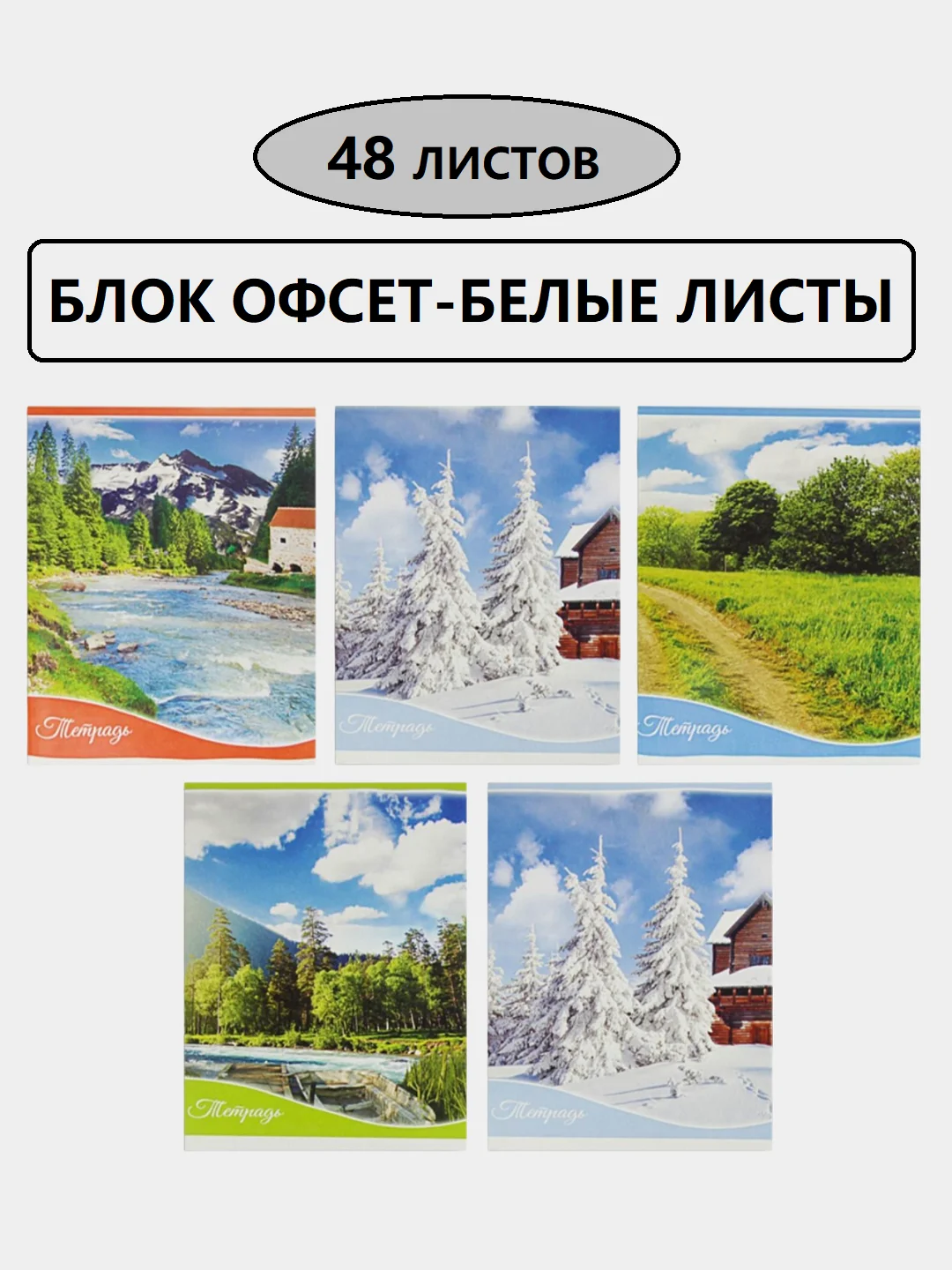 Ледяной тетрадь общая в клетку, 48 листов, обложка из картона