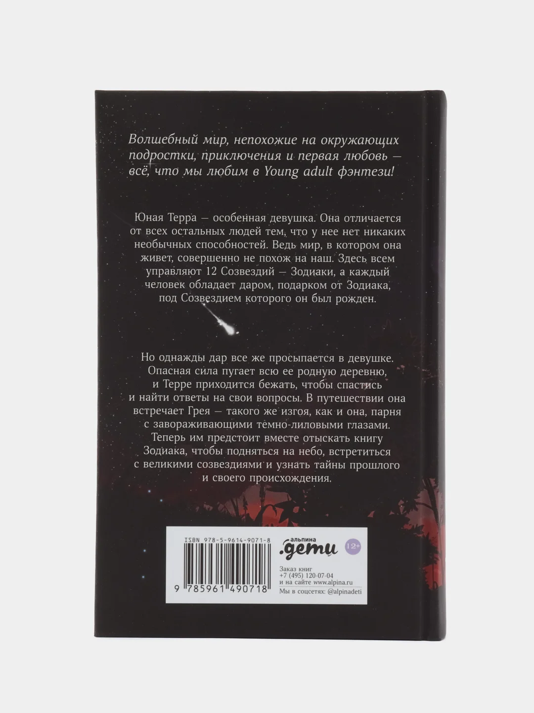 Терра и тайна созвездий. Книга 1