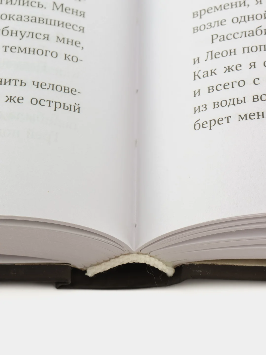 Терра и тайна созвездий. Книга 1