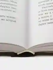 Терра и тайна созвездий. Книга 1