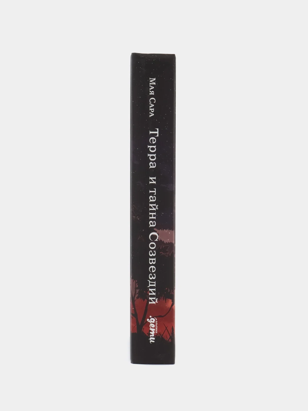 Терра и тайна созвездий. Книга 1