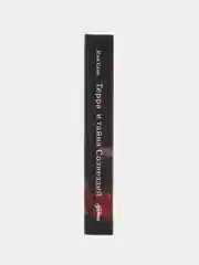 Терра и тайна созвездий. Книга 1