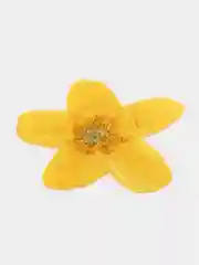 Цветы натуральные сухоцветы для заливки эпоксидной смолой, рукоделия, творчества
