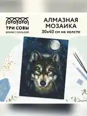 Алмазная мозаика Три совы "Волк", холст, 30х40 см