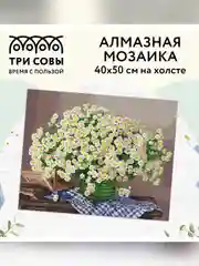 Алмазная мозаика Три совы "Ромашки", холст, 40х50 см