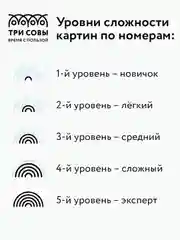 Картина по номерам на картоне Три совы "Воздушные шары", с красками и кистями, 30х40 см