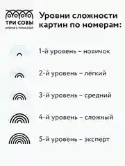 Картина по номерам на картоне Три совы "Прогулка по саду", с красками и кистями, 30х40 см