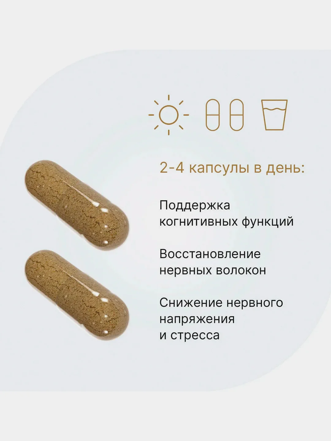 БАД Ежовик гребенчатый, 60 капсул по 0,50 г
