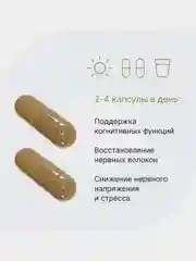 БАД Ежовик гребенчатый, 60 капсул по 0,50 г