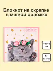 Шоколадный блокнот/скетчбук/ежедневник/записная книжка/смешбук/кешбук с котиками, котоблокнот