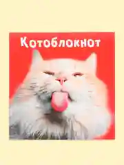 Черный блокнот/скетчбук/ежедневник/записная книжка/смешбук/кешбук с котиками, котоблокнот