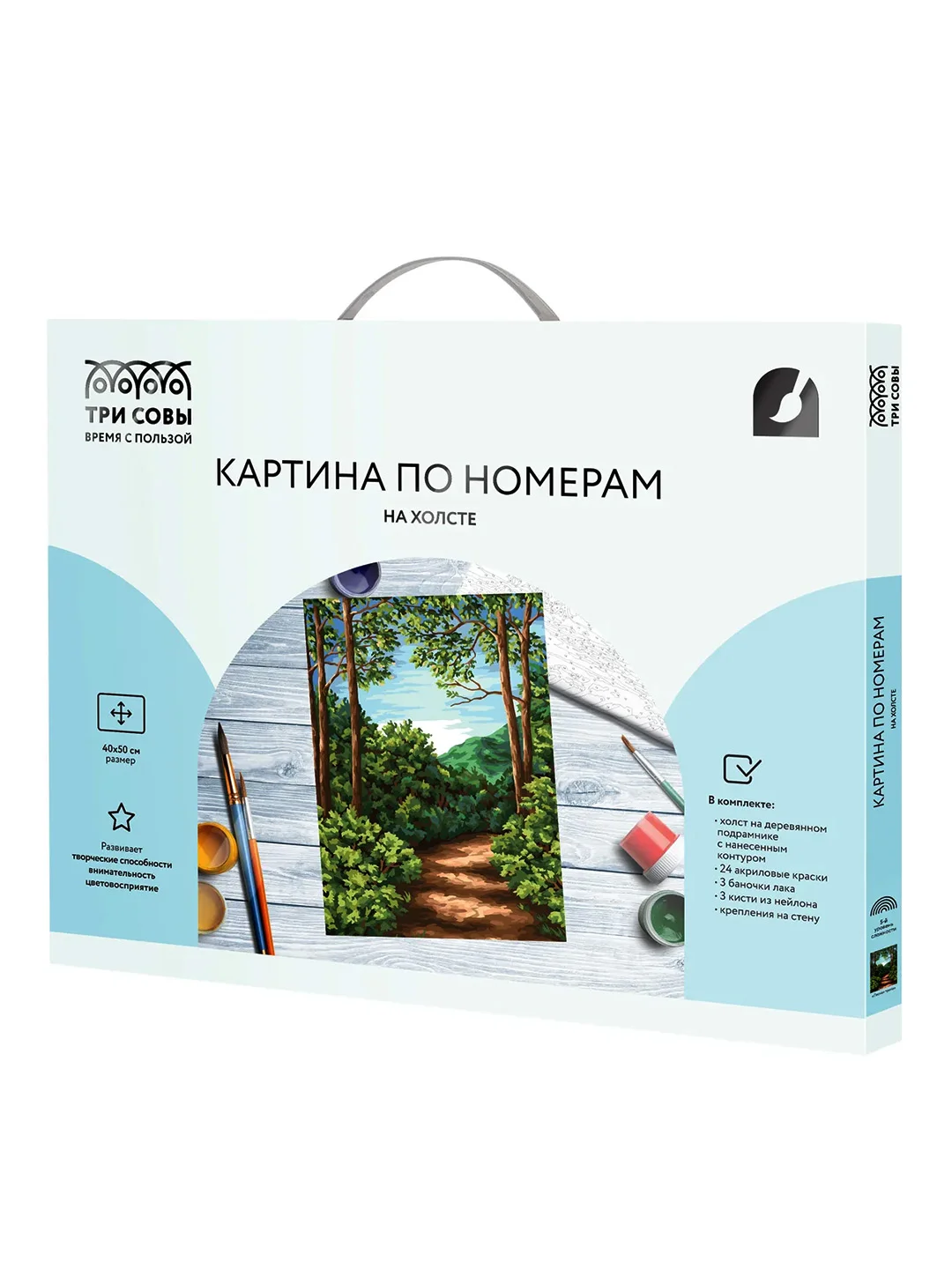 Картина по номерам на холсте Три совы "Лесная тропа", с красками и кистями, 40х50 см
