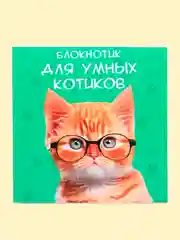 Хром блокнот/скетчбук/ежедневник/записная книжка/смешбук/кешбук с котиками, котоблокнот