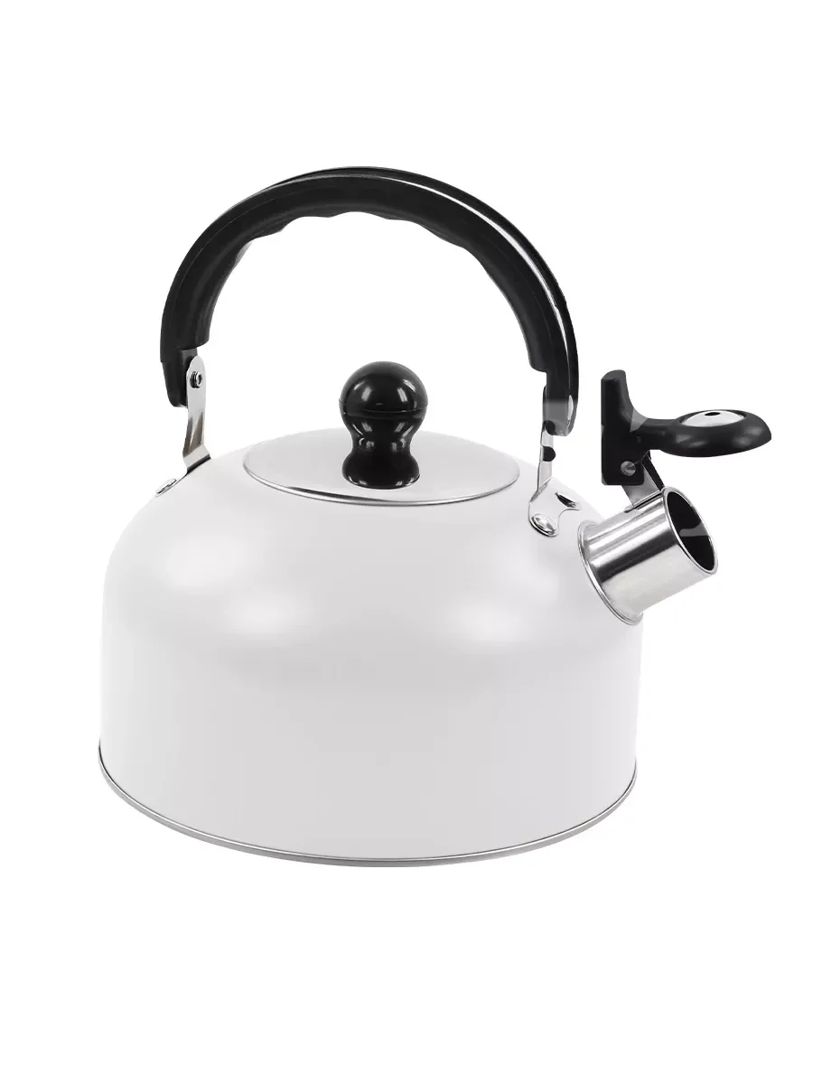 Белый чайник со свистком HOME ELEMENT HE-WK1602, 2л, нерж. сталь , белый матовый