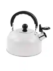 Белый чайник со свистком HOME ELEMENT HE-WK1602, 2л, нерж. сталь , белый матовый