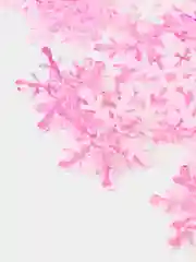 Розовый снежинки патч
