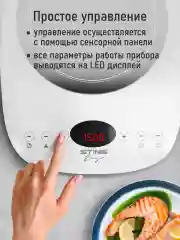 Белый электрическая индукционная безимпульсная плитка STINGRAY ST-HP3501A белый