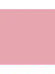 DEBORAH Тени для век водостойкие COLOR LOVERS, тон: 05 интенсивный розовый