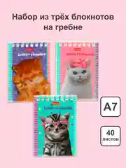 Красный блокнот/скетчбук/ежедневник/записная книжка/смешбук/кешбук с котиками, котоблокнот